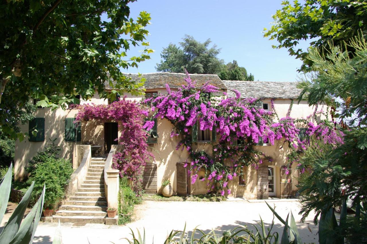Domaine De Valle Sorbo-Ocagnano Exterior photo